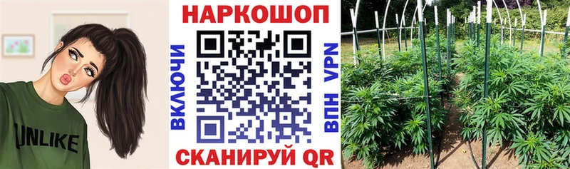 Купить закладку Каннабис  А ПВП  АМФЕТАМИН  ГАШИШ  МЕФ  КОКАИН  Дрезна