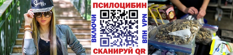 Купить где  Дрезна  Псилоцибиновые грибы Psilocybe 